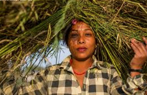 Nature Positive goal