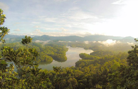 Biodiversity finance