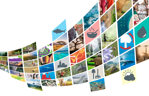 global biodiversity outlook