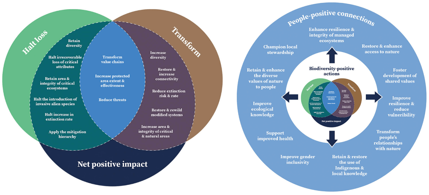 net positive impact diagrams