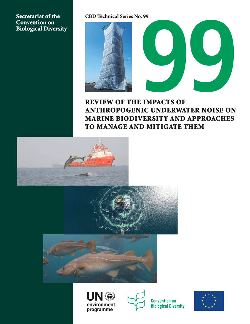 Impacts of underwater noise on marine biodiversity