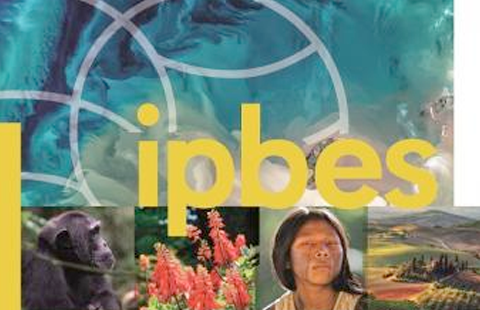 IPBES