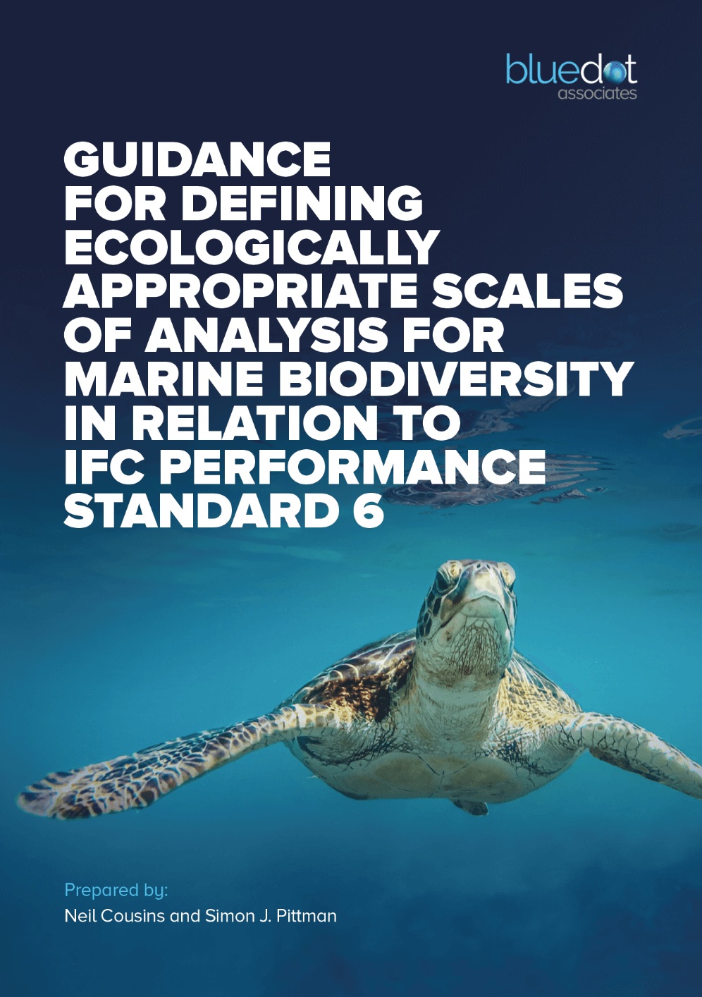 Guidance for defining ecologically appropriate scales of analysis for marine biodiversity in relation to IFC performance standard 6