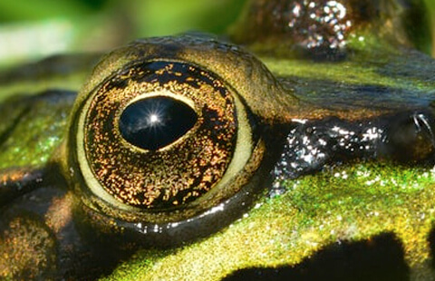 youth for our planet